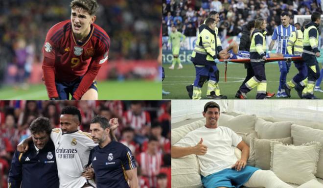 养不仅关乎 养不仅关乎